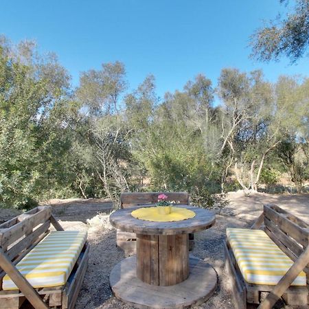 Finca S'Erissal De Costitx エクステリア 写真